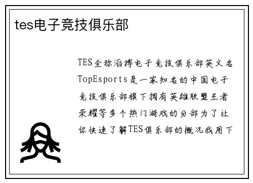 tes电子竞技俱乐部